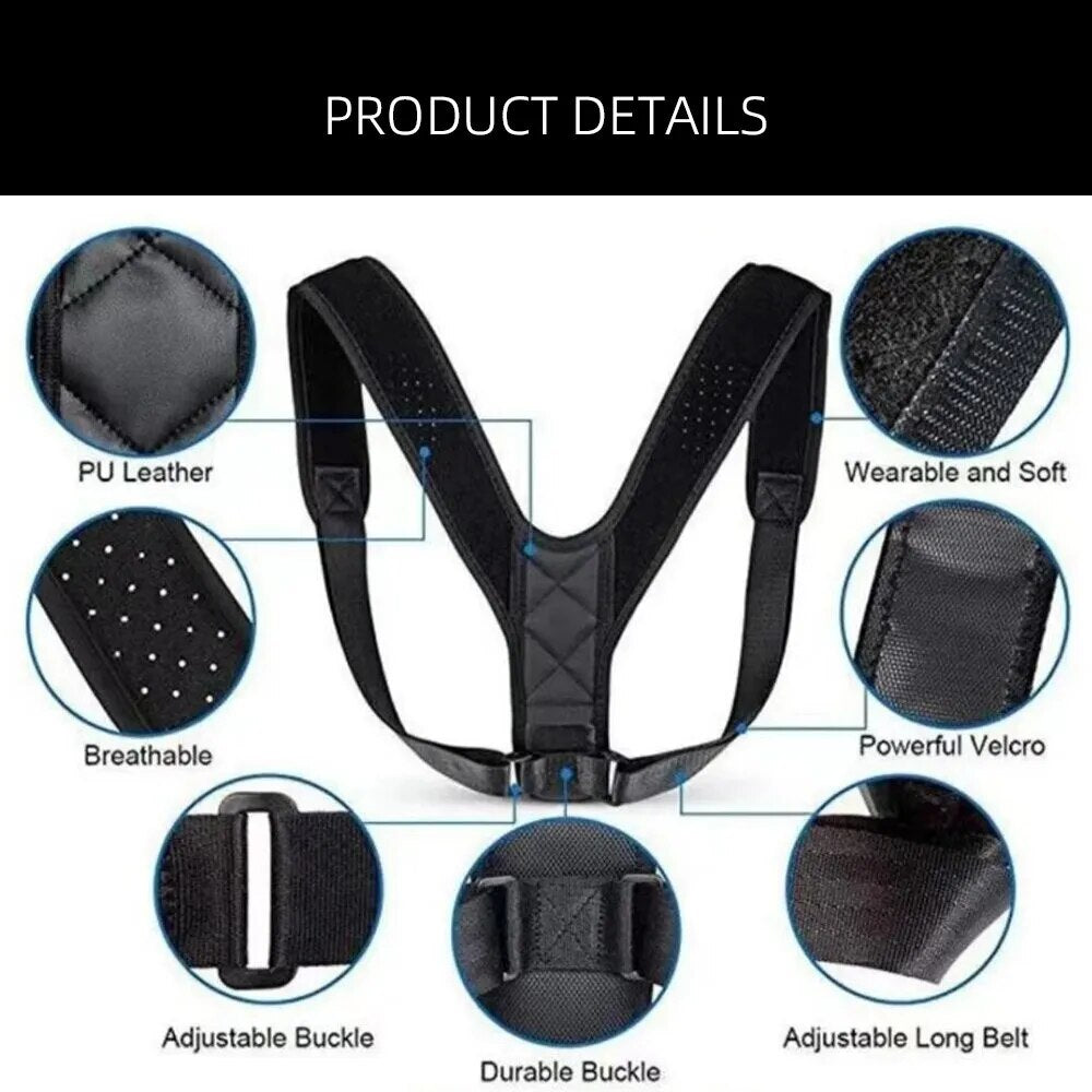 Back-Belt™